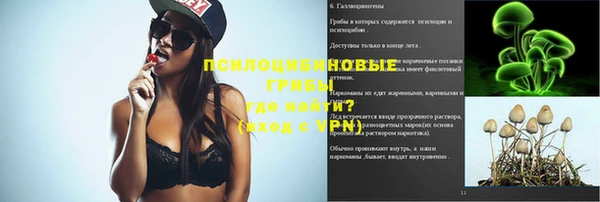 твердый Алексин