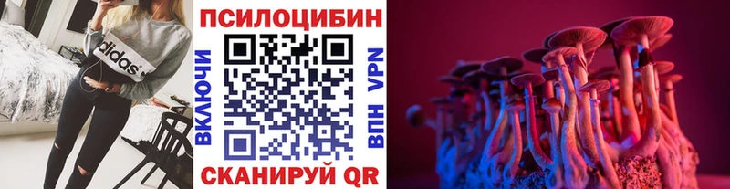 кракен   Кропоткин  Псилоцибиновые грибы Psilocybine cubensis 